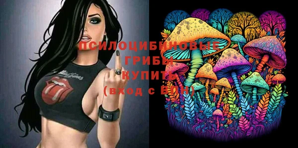 ешки Покачи