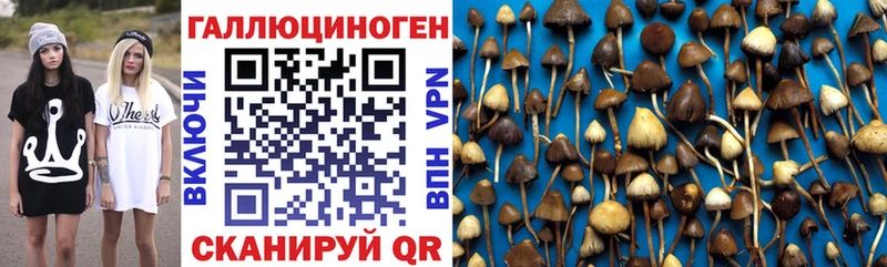 Псилоцибиновые грибы ЛСД  Сусуман 